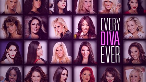 wwe diva fakes|Every Diva Ever: photos